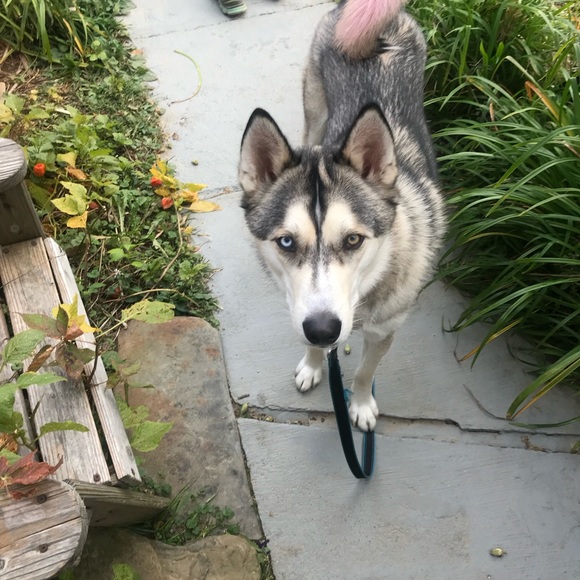 Meet your Posher, Courtney - Picture 7 of 11